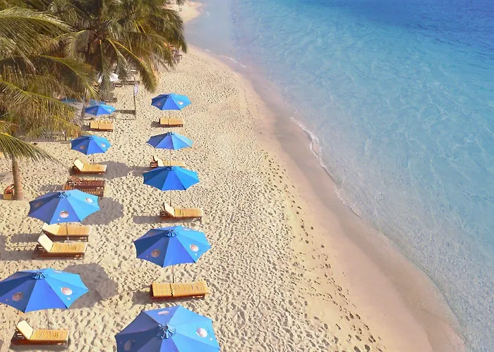 Orange Resort